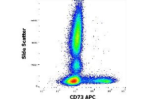 Flow cytometry surface staining pattern of human peripheral whole blood stained using anti-human CD73 (AD2) APC antibody (10 μL reagent / 100 μL of peripheral whole blood).