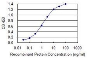 Detection limit for recombinant GST tagged DEPDC1B is 0. (DEPDC1B antibody  (AA 430-529))