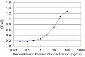 Detection limit for recombinant GST tagged PURA is approximately 0. (PURA antibody  (AA 183-292))