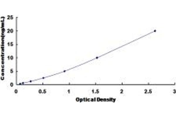 GLYT1 ELISA Kit