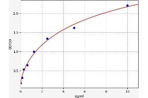 Retinoid X Receptor gamma ELISA Kit