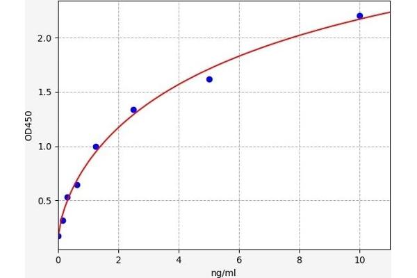 Retinoid X Receptor gamma ELISA Kit