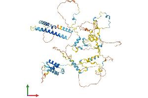 AlphaFold protein structure predicition of Mouse Recombinant Ncaph Protein, UniprotID Q8C156