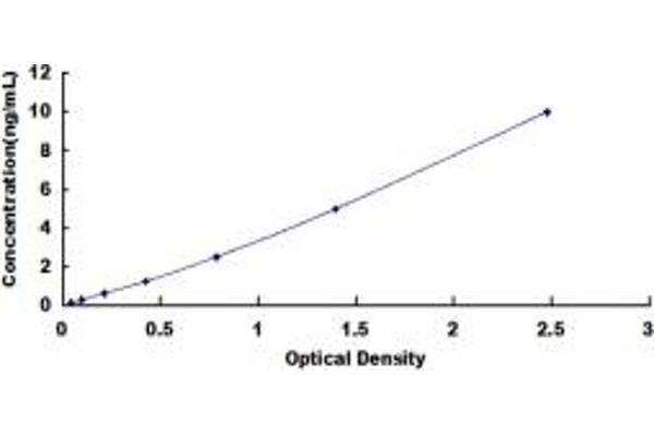 ACP2 ELISA Kit