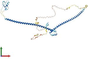 Protein Structure (PS) image for TRAF Interacting Protein (TRAIP) (AA 1-470) protein (His tag) (ABIN7559958)