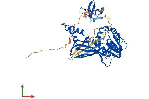 AlphaFold protein structure predicition of Mouse Recombinant Prmt2 Protein, UniprotID Q9R144
