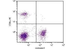 BALB/c mouse splenocytes were stained with Rat Anti-Mouse CD4-BIOT and Rat Anti-Mouse CD8α-PE. (CD4 antibody  (Biotin))