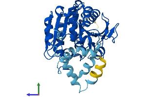 AlphaFold protein structure predicition of Human Recombinant LIPJ Protein, UniprotID Q5W064 (LIPJ Protein (AA 1-366) (His tag))