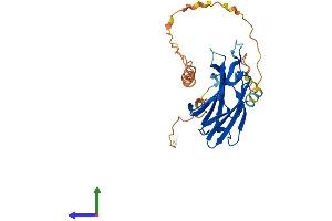AlphaFold protein structure predicition of Mouse Recombinant Rims4 Protein, UniprotID P60191 (RIMS4 Protein (AA 1-269) (His tag))