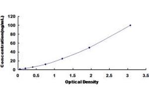 Typical standard curve (HSPA1B ELISA Kit)