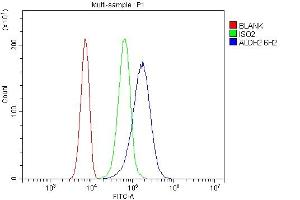 anti-Aldehyde Dehydrogenase 2 Family (Mitochondrial) (ALDH2) (N-Term) antibody
