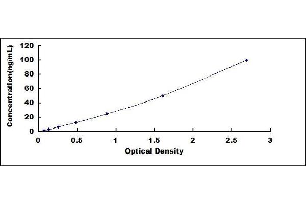 RHD ELISA Kit