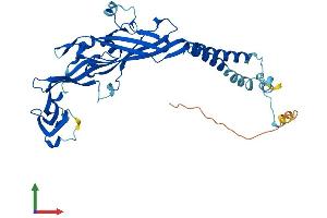 Protein Structure (PS) image for Purinergic Receptor P2x, Ligand-Gated Ion Channel, 3 (P2RX3) (AA 1-397) protein (His tag) (ABIN7557260)