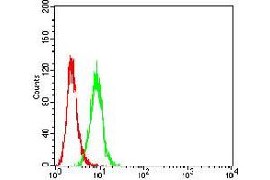 Flow cytometric analysis of Hela cells using P2RY4 mouse mAb (green) and negative control (red). (P2RY4 antibody)