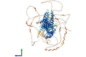 Protein Structure (PS) image for FYVE, RhoGEF and PH Domain Containing 1 (FGD1) (AA 1-960) protein (His tag) (ABIN7563419)