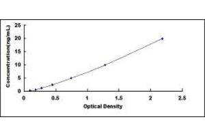 Typical standard curve (MCL-1 ELISA Kit)