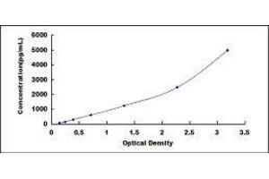 Growth Differentiation Factor 15 (GDF15) ELISA Kit