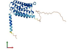 AlphaFold protein structure predicition of Human Recombinant ELOVL4 Protein, UniprotID Q9GZR5