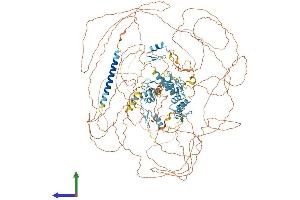 AlphaFold protein structure predicition of Mouse Recombinant Sall3 Protein, UniprotID Q62255 (SALL3 Protein (AA 1-1320) (His tag))
