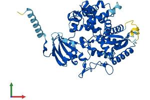 AlphaFold protein structure predicition of Mouse Recombinant Cyp7a1 Protein, UniprotID Q64505 (CYP7A1 Protein (AA 1-503) (His tag))