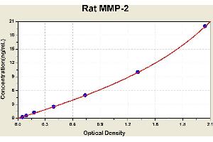Diagramm of the ELISA kit to detect Rat MMP-2with the optical density on the x-axis and the concentration on the y-axis. (MMP2 ELISA Kit)