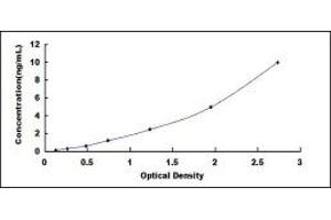 SLC5A5 ELISA Kit