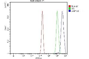 Flow Cytometry analysis of U20S cells using anti-SAP130 antibody (ABIN7601247). (SAP130 antibody  (AA 309-913))