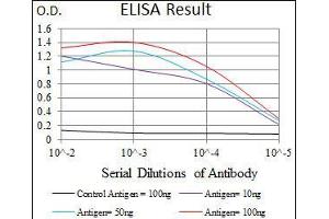 Black line: Control Antigen (100 ng), Purple line: Antigen(10 ng), Blue line: Antigen (50 ng), Red line: Antigen (100 ng), (Mesp2 antibody  (AA 37-94))