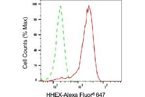 Flow cytometric analysis of HHEX expression in HeLa cells using HHEX antibody (ABIN7798882), 1:(ABIN7798691). (Recombinant HHEX antibody)