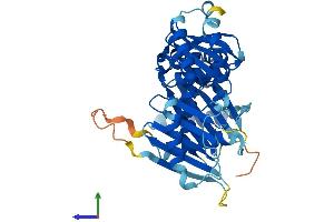AlphaFold protein structure predicition of Human Recombinant FUZ Protein, UniprotID Q9BT04 (FUZ Protein (AA 1-418) (His tag))