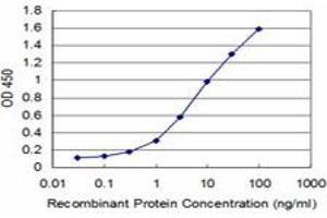 Detection limit for recombinant GST tagged JAG2 is approximately 0. (JAG2 antibody  (AA 121-210))