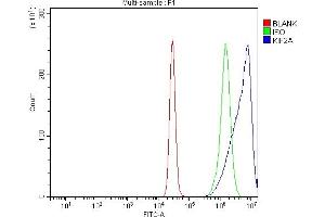 Flow Cytometry analysis of K562 cells using anti-KIF2A antibody (ABIN7600510). (KIF2A antibody  (AA 2-706))