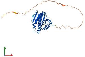 AlphaFold protein structure predicition of Mouse Recombinant Dusp15 Protein, UniprotID Q8R4V2