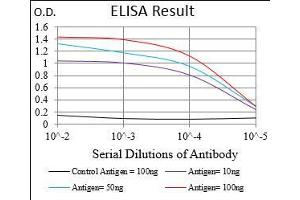 Black line: Control Antigen (100 ng), Purple line: Antigen(10 ng), Blue line: Antigen (50 ng), Red line: Antigen (100 ng), (MEF2A antibody  (AA 391-497))