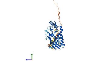 AlphaFold protein structure predicition of Mouse Recombinant Atp1b4 Protein, UniprotID Q99ME6