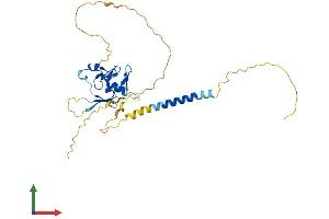 AlphaFold protein structure predicition of Mouse Recombinant Rnf223 Protein, UniprotID Q3UV31 (RNF223 Protein (AA 1-285) (His tag))