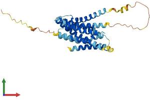 AlphaFold protein structure predicition of Mouse Recombinant Slc39a1 Protein, UniprotID Q9QZ03 (SLC39A1 Protein (AA 1-324) (His tag))
