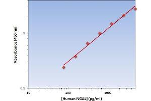This is an example of what a typical standard curve will look like. (Lipocalin 2 ELISA Kit)