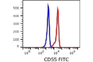 Flow Cytometry (FACS) image for anti-Complement Decay-Accelerating Factor (CD55) antibody (FITC) (ABIN3071832) (CD55 antibody  (FITC))