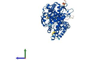 AlphaFold protein structure predicition of Human Recombinant CYP19A1 Protein, UniprotID P11511 (Aromatase Protein (AA 1-503) (His tag))