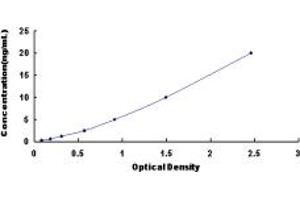 Typical standard curve (SATB1 ELISA Kit)