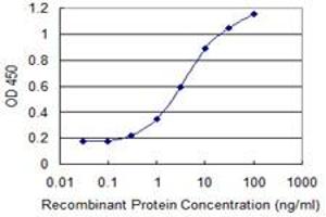 Detection limit for recombinant GST tagged PHF7 is 0. (PHF7 antibody  (AA 258-357))