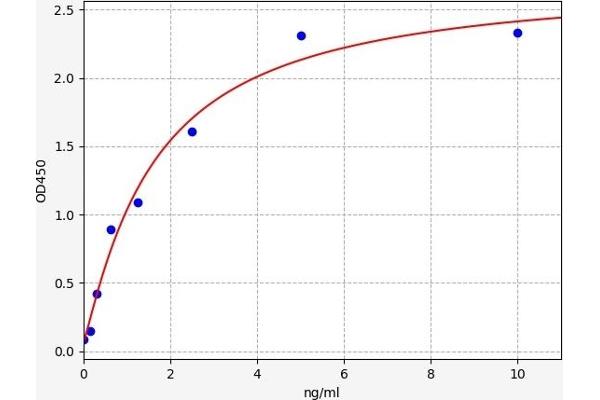 IRF8 ELISA Kit