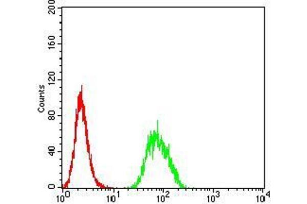 CD57 antibody  (AA 193-334)