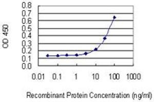 Detection limit for recombinant GST tagged PHACTR2 is 1 ng/ml as a capture antibody. (PHACTR2 antibody  (AA 56-143))