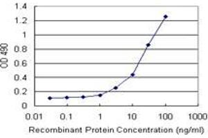 Sandwich ELISA detection sensitivity ranging from 1 ng/mL to 100 ng/mL. (RNF181 (Human) Matched Antibody Pair)