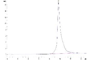 Size-exclusion chromatography-High Pressure Liquid Chromatography (SEC-HPLC) image for ADAM Metallopeptidase Domain 9 (ADAM9) (AA 29-697) protein (His tag) (ABIN7273802)