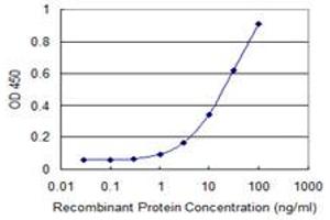 Detection limit for recombinant GST tagged TNIK is 0. (TNIK antibody  (AA 1-110))