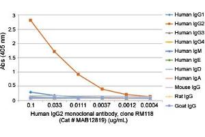 ELISA analysis of Human IgG2 monoclonal antibody, clone RM118  at the following concentrations: 0. (Rabbit anti-Human Immunoglobulin Heavy Constant gamma 2 (G2m Marker) (IGHG2) Antibody (Biotin))