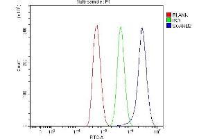 Flow Cytometry analysis of U87 cells using anti-Scavenging Receptor SRB2/SCARB2 antibody (ABIN7601833). (SCARB2 antibody  (AA 48-357))
